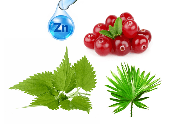 La composición de las cápsulas Uromexil Forte