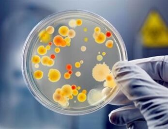 Las bacterias pueden causar prostatitis crónica