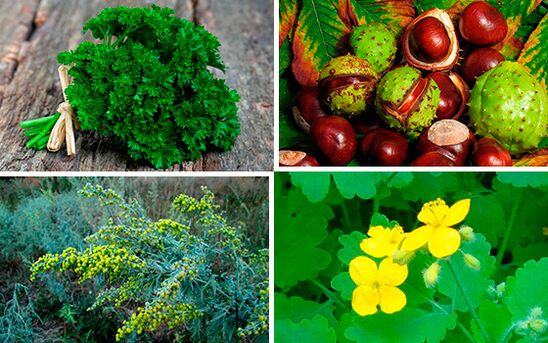 Hierbas para el tratamiento de la prostatitis.