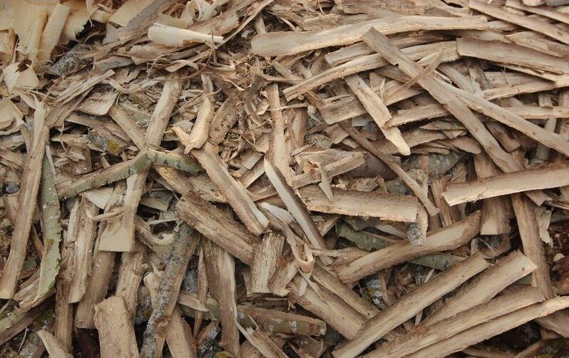 corteza de álamo para la prostatitis